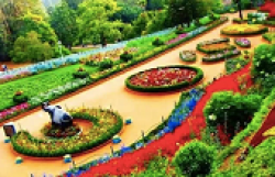 ZIRAKPUR - Copy
